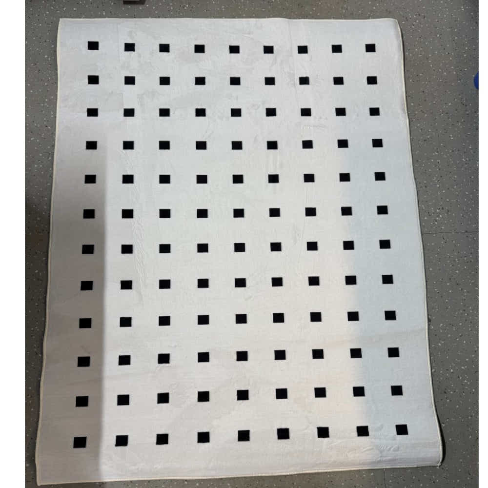 DS BS Area Rug 160x250cm Modern Minimalist Living Room Carpet - Pure White Grid