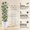 DS BS 4 Pcs Metal Garden Trellis for Climbing Plants