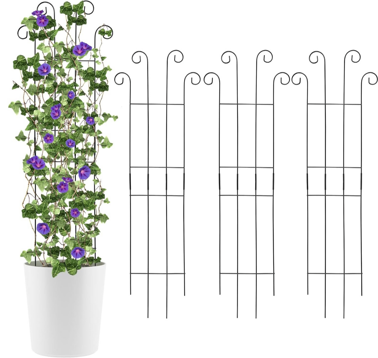 DS BS 4 Pcs Metal Garden Trellis for Climbing Plants