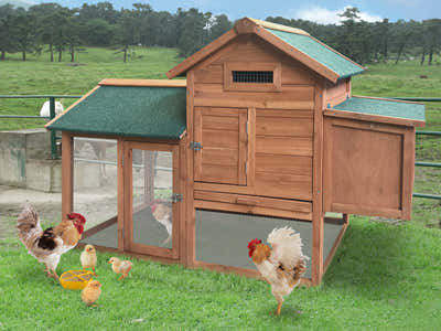 Wooden Chicken Coop - 152cm