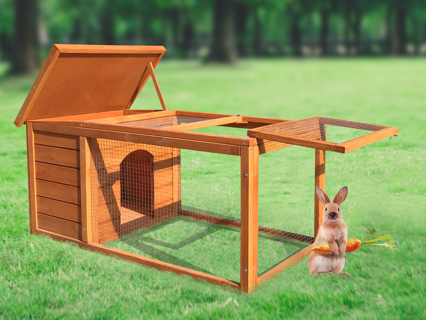 DS Rabbit Hutch