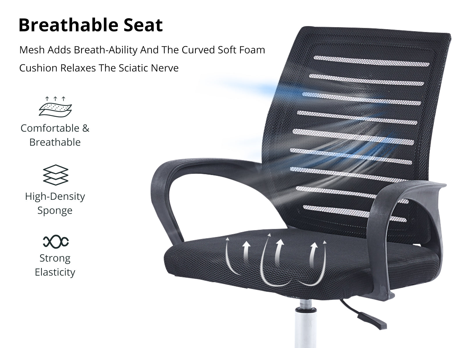 DS Cruz Office Chair Black