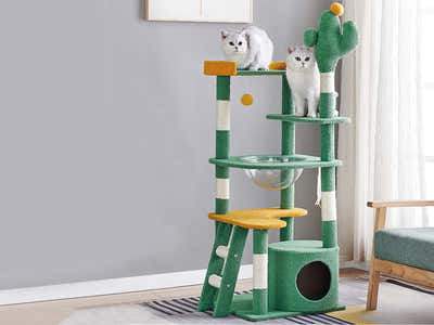 DS Cactus Cat tree - 143 cm