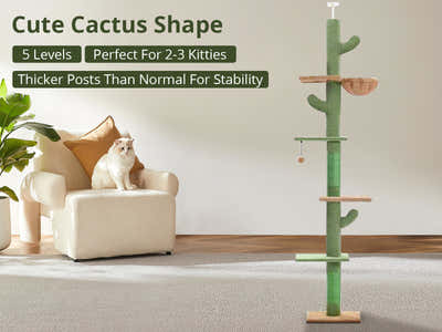 DS Cat Tree Floor to Ceiling 2.65m