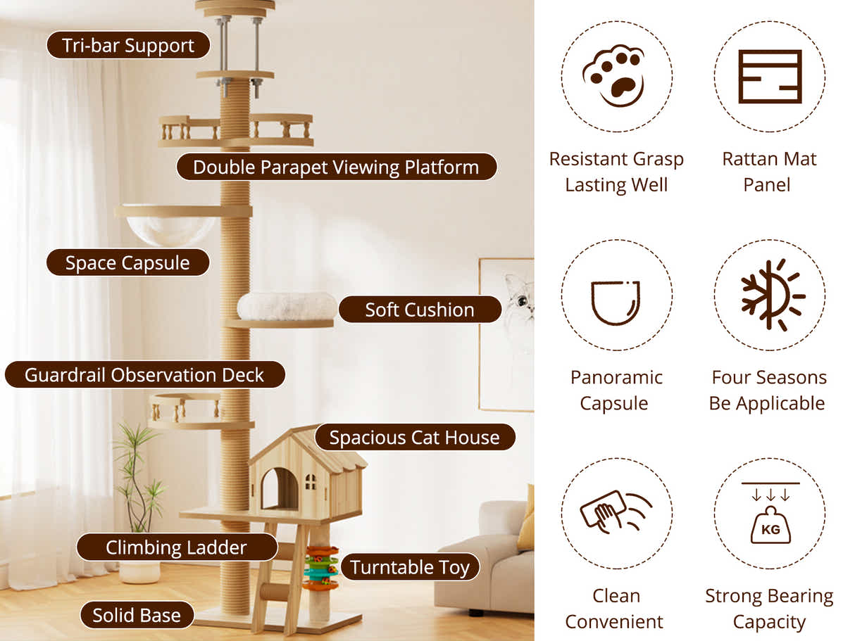 DS Cat Tree 250-280CM
