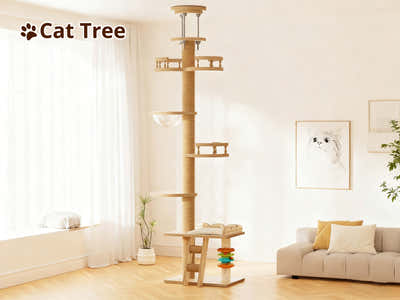 DS Cat Tree 250-280CM