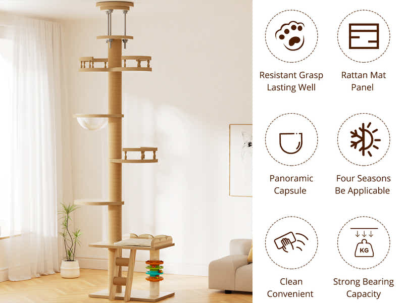 DS Cat Tree 250-280CM