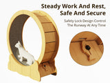 DS Cat Running Wheel 115CM