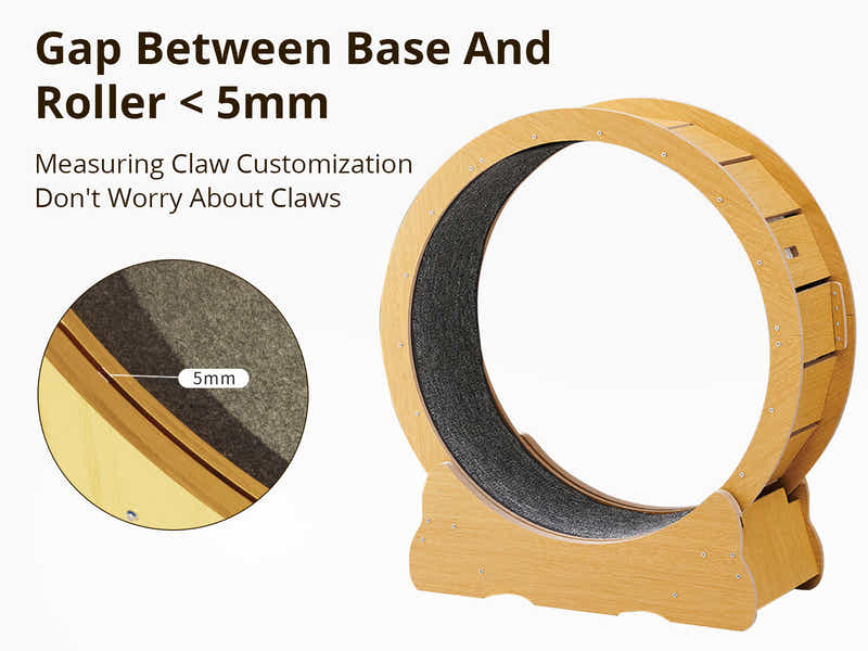 Cat Running Wheel