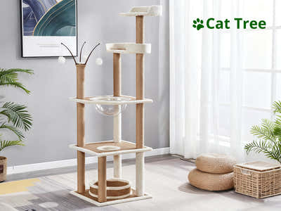 DS Cat Tree 164CM