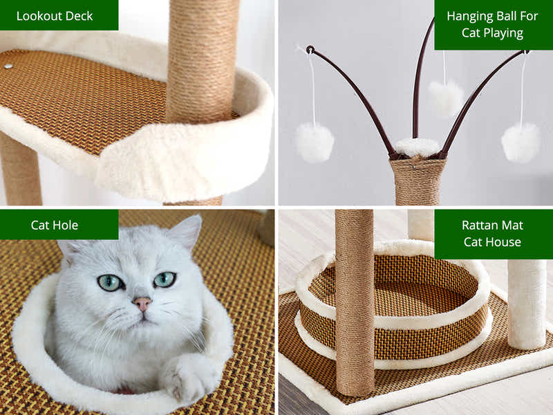 DS Cat Tree 164CM
