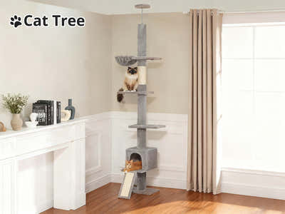 DS Cat Tree 250-280CM