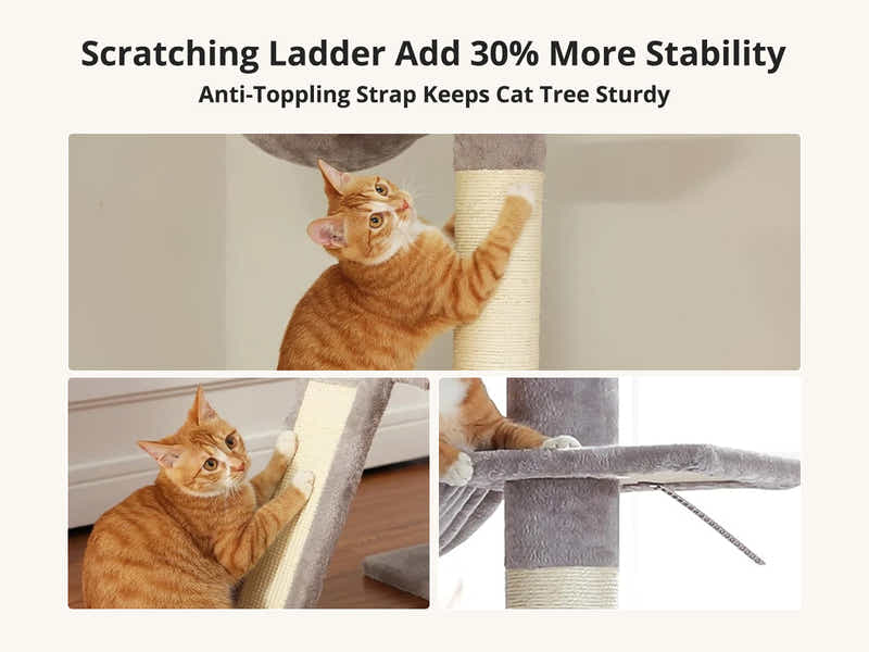 DS Cat Tree 250-280CM