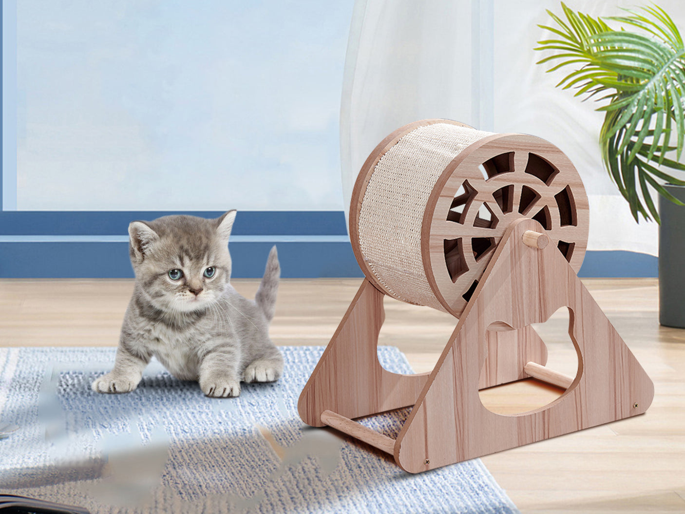 Cat Scratching Wheel