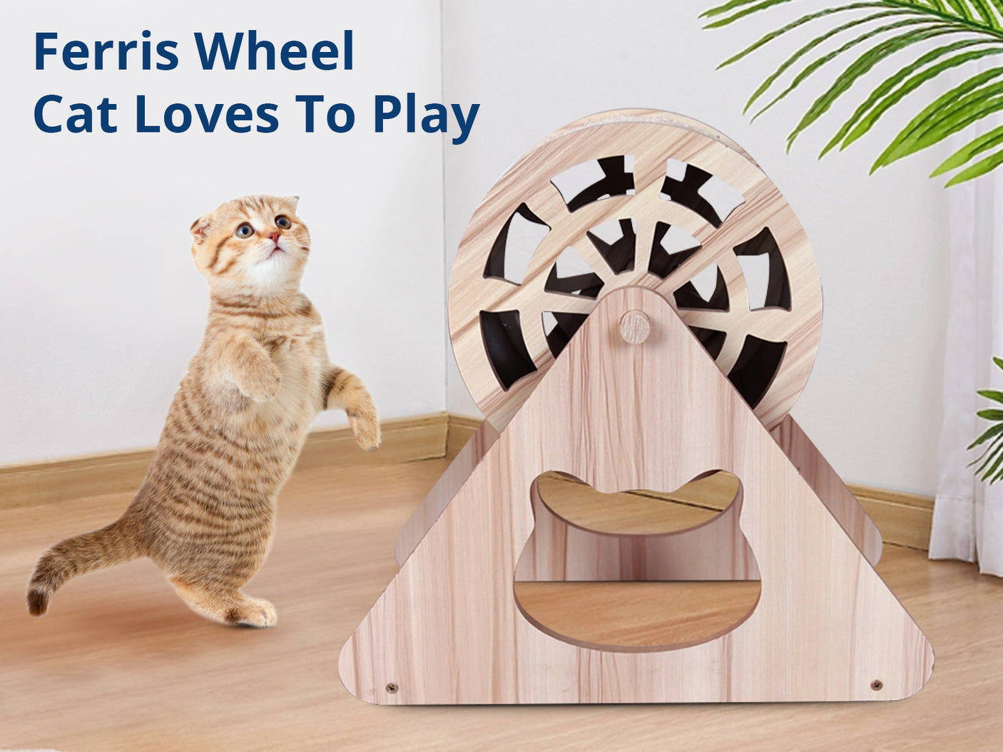 Cat Scratching Wheel