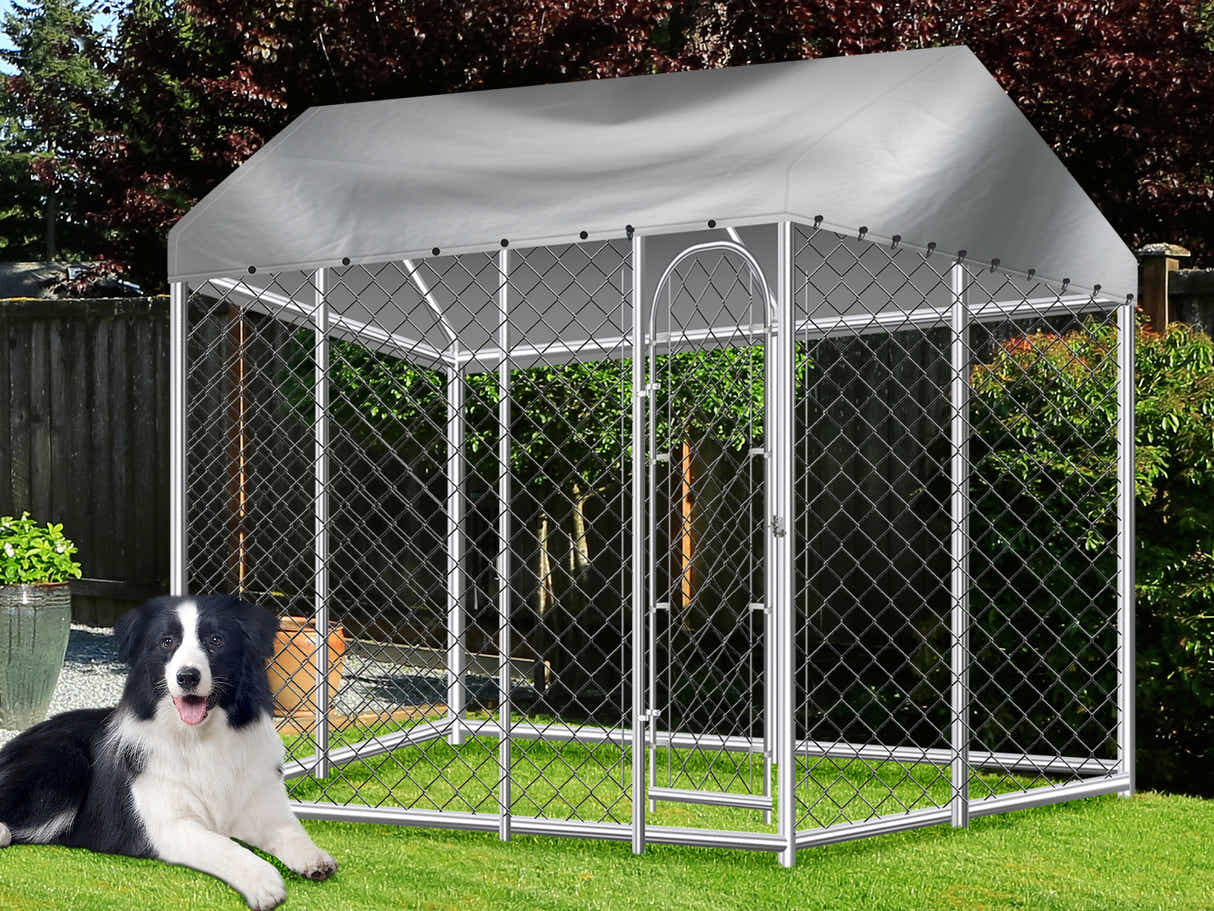 Dog Run with Roof - 3m x 3m x 2.3m