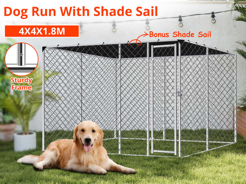 DS Dog run D with shade sail 4x4x1.8m