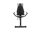Recumbent Bike