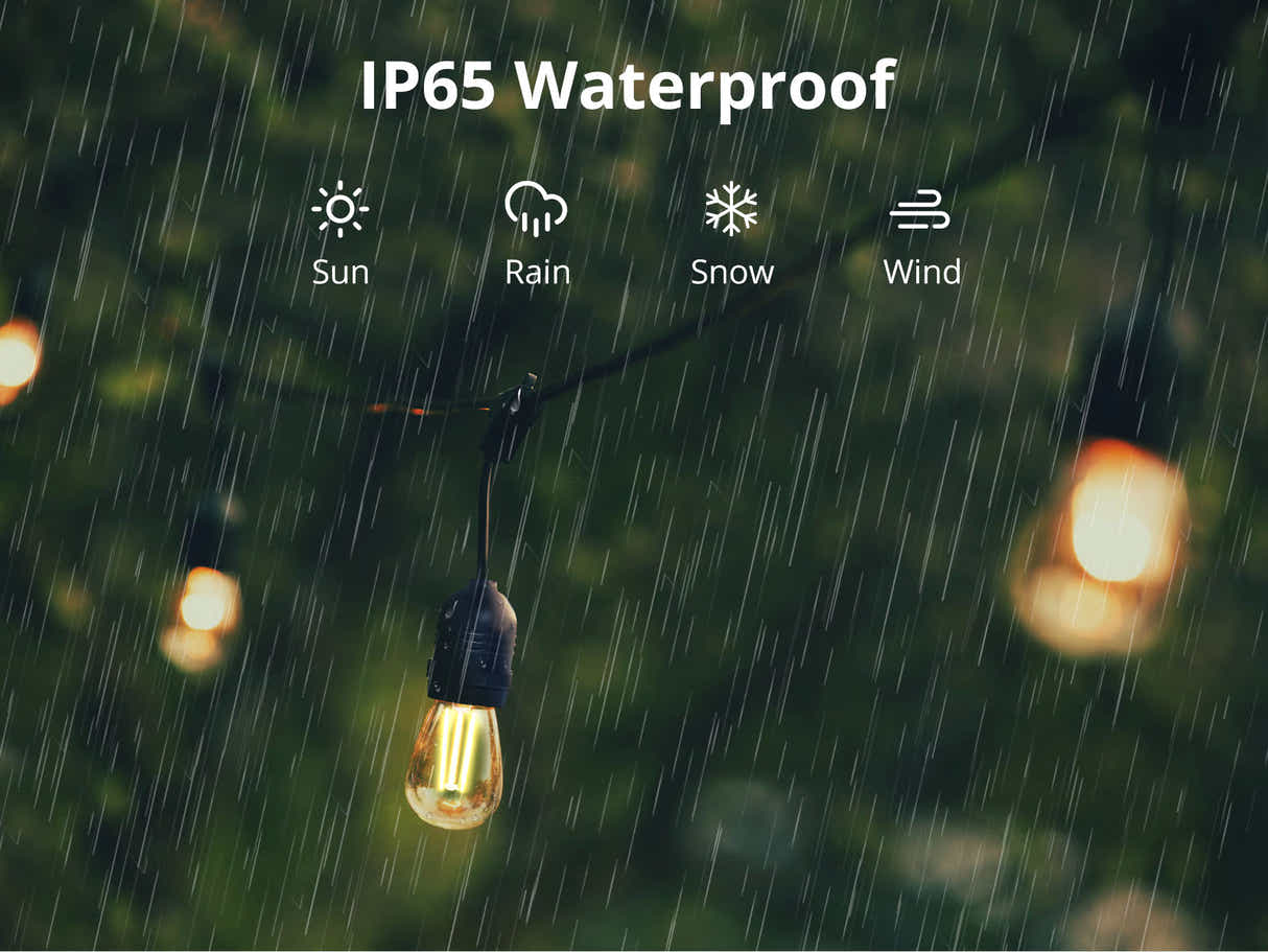 Suspended Socket Festoon Lights with LED Bulbs - 12 m