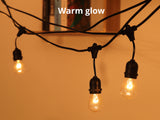 Suspended Socket Festoon Lights with LED Bulbs - 12 m