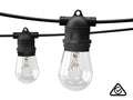 Fixed Socket Festoon Lights with Tungsten Bulbs - 12 m
