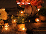 Fixed Socket Festoon Lights with Tungsten Bulbs - 22 m