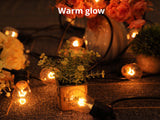 Fixed Socket Festoon Lights with Tungsten Bulbs - 17 m