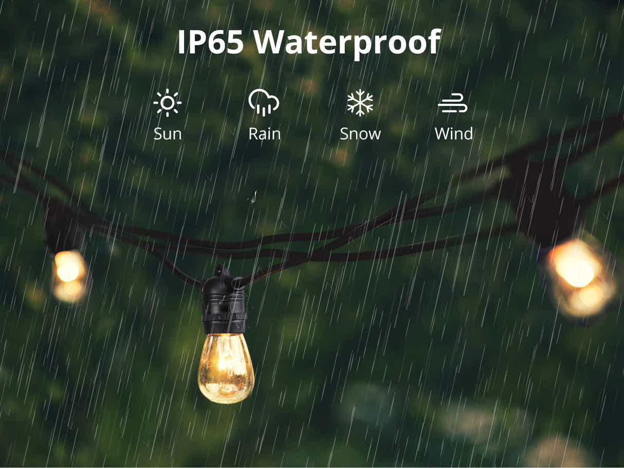 Fixed Socket Festoon Lights with Tungsten Bulbs - 22 m