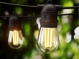 Fixed Socket Festoon Light S14 12M LED