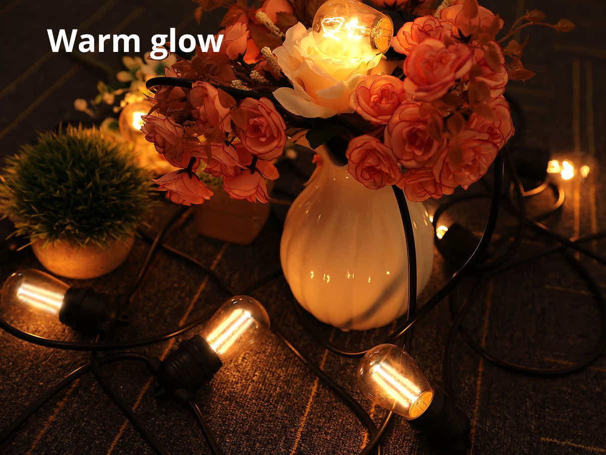 Fixed Socket Festoon Lights with LED Bulbs - 12 m