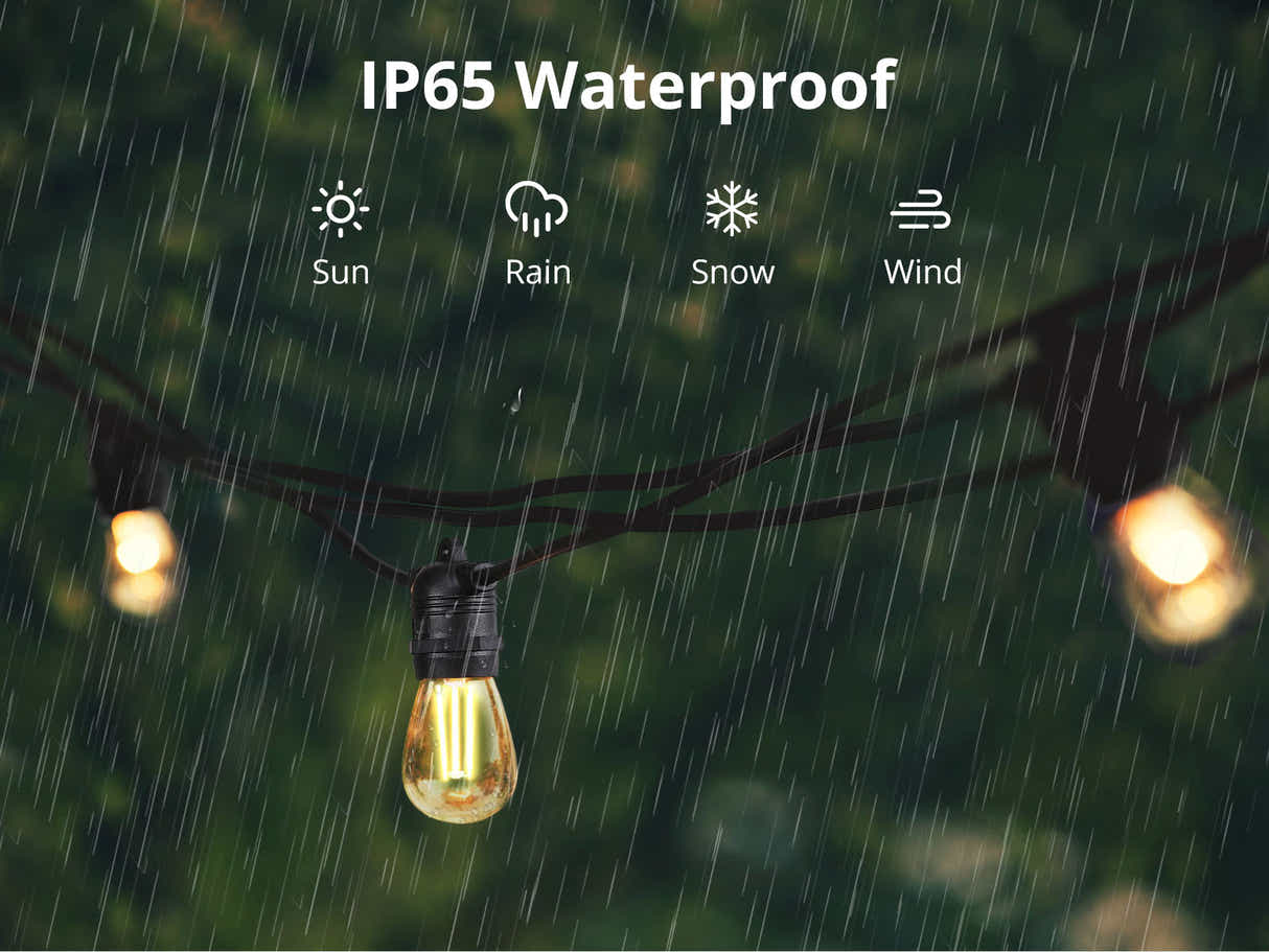 Fixed Socket Festoon Lights with LED Bulbs - 12 m