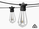 Fixed Socket Festoon Light ST64 22M LED