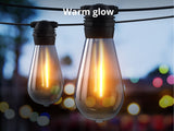 Fixed Socket Festoon Light ST64 22M LED