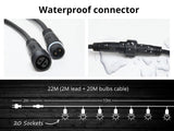 Fixed Socket Festoon Light ST64 22M LED