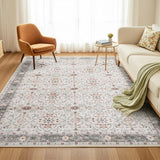 DS NA Artiss Washable Floor Rug 200x290cm Large Area Modern Living Room Carpet