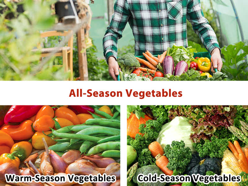 PE Mesh Walk-In Greenhouse - 1.9m x 3.64m