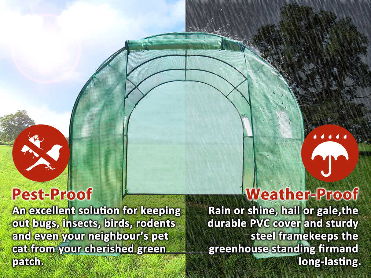 PE Mesh Walk-In Greenhouse - 2m x 3m