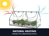 DS Green House
