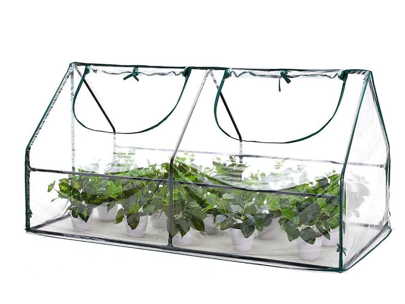 DS Green House