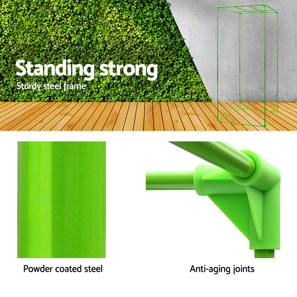 DS NA Green Fingers 60cm Hydroponic Grow Tent