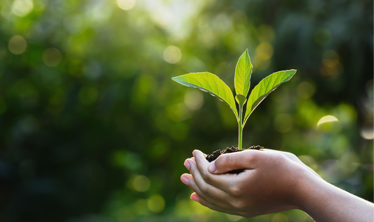 Sustainability
