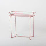 DS BS Modern Loft Metal Side Table Flower Stand Rectangle-Pink