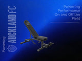 DS Heavy Duty Adjustable Weight Bench