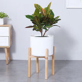 DS BS Modern Flower Pot with Display Potted Rack-Black