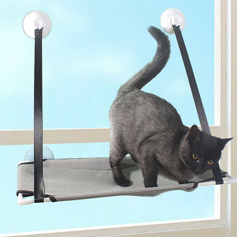 DS BS Single Layer Suction Cup Cat Window Perch Hammock