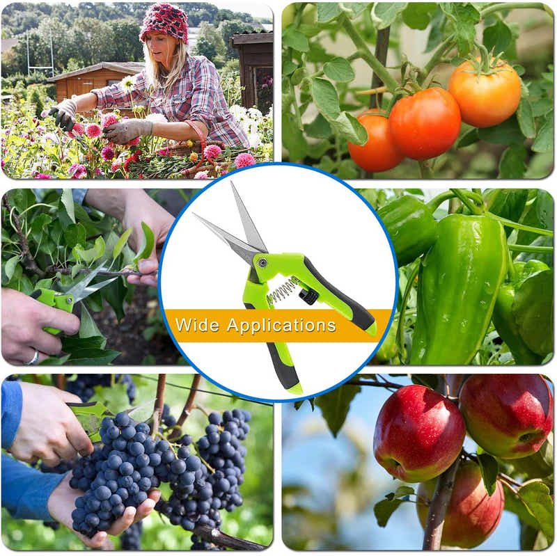 DS BS 2Pack Gardening Hand Pruner Pruning Shear