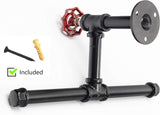 DS BS Industrial Pipe Wall Mounted Toilet Paper Holder-2 Rolls