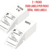 DS BS Thermal Shipping Labels 4x6 Inch 2 Pack 1000Labels