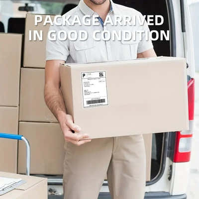 DS BS Thermal Shipping Labels 4x6 Inch 2 Pack 1000Labels