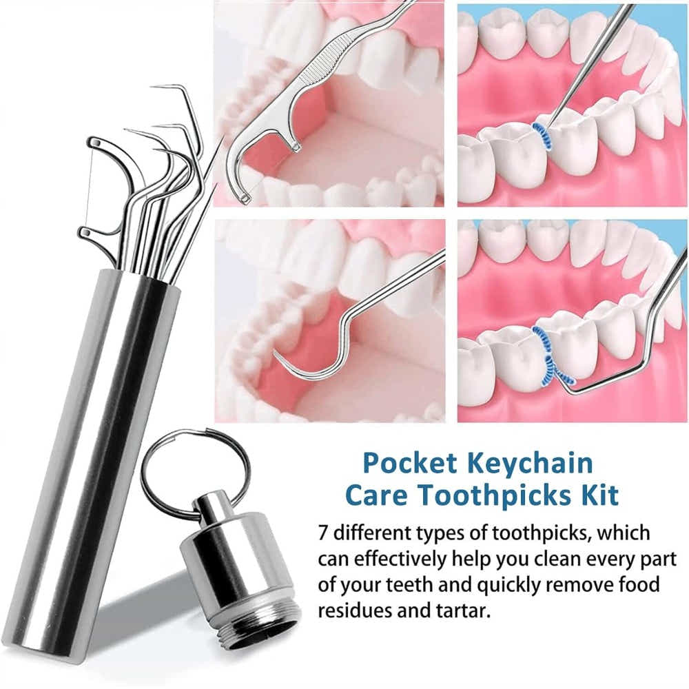 DS BS 7 Pcs Reusable Titanium Toothpick Set